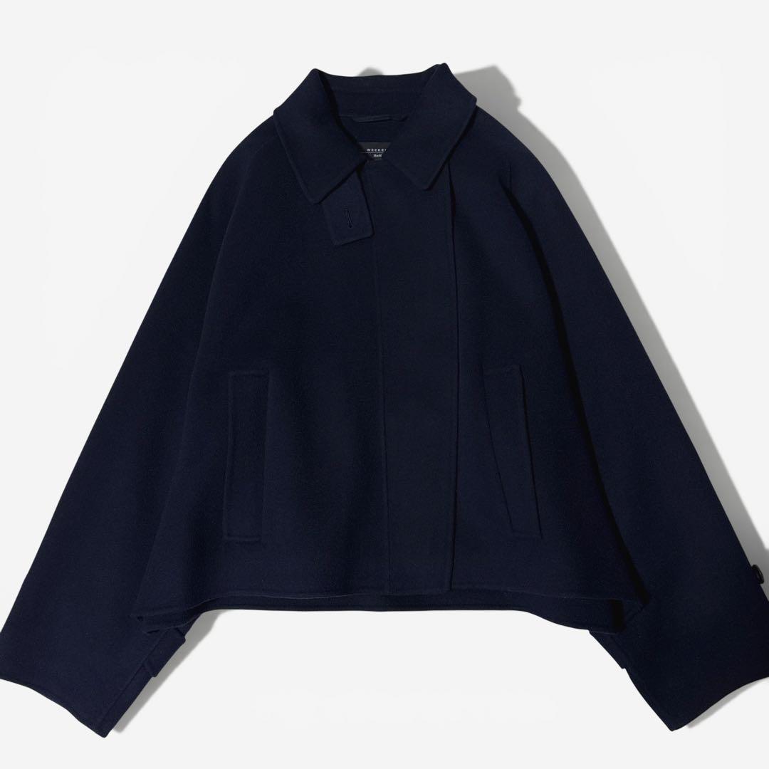 極美品✨️25AW　今季　マックスマーラ　クチートアマーノ　CARELLA　42