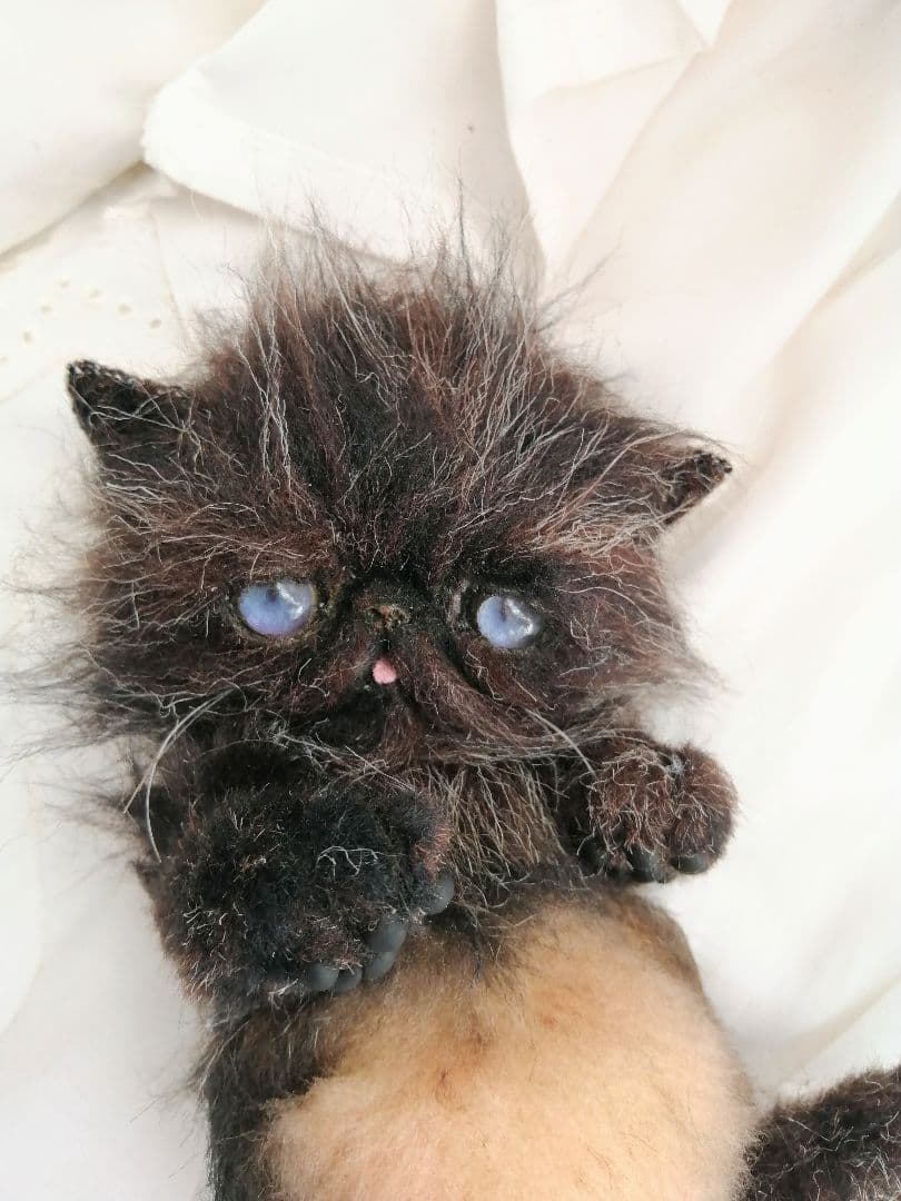 エキゾチックベビー♡子猫ちゃん♡ミックス毛♡アートドール♡ぬいぐるみ♡