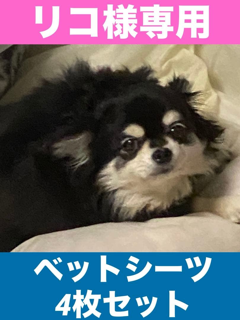 リコです。新品シーツ4枚セット