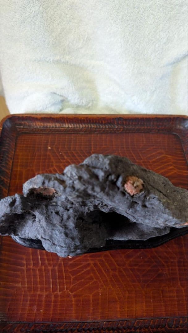 赤花菊花石 鑑賞石 盆石