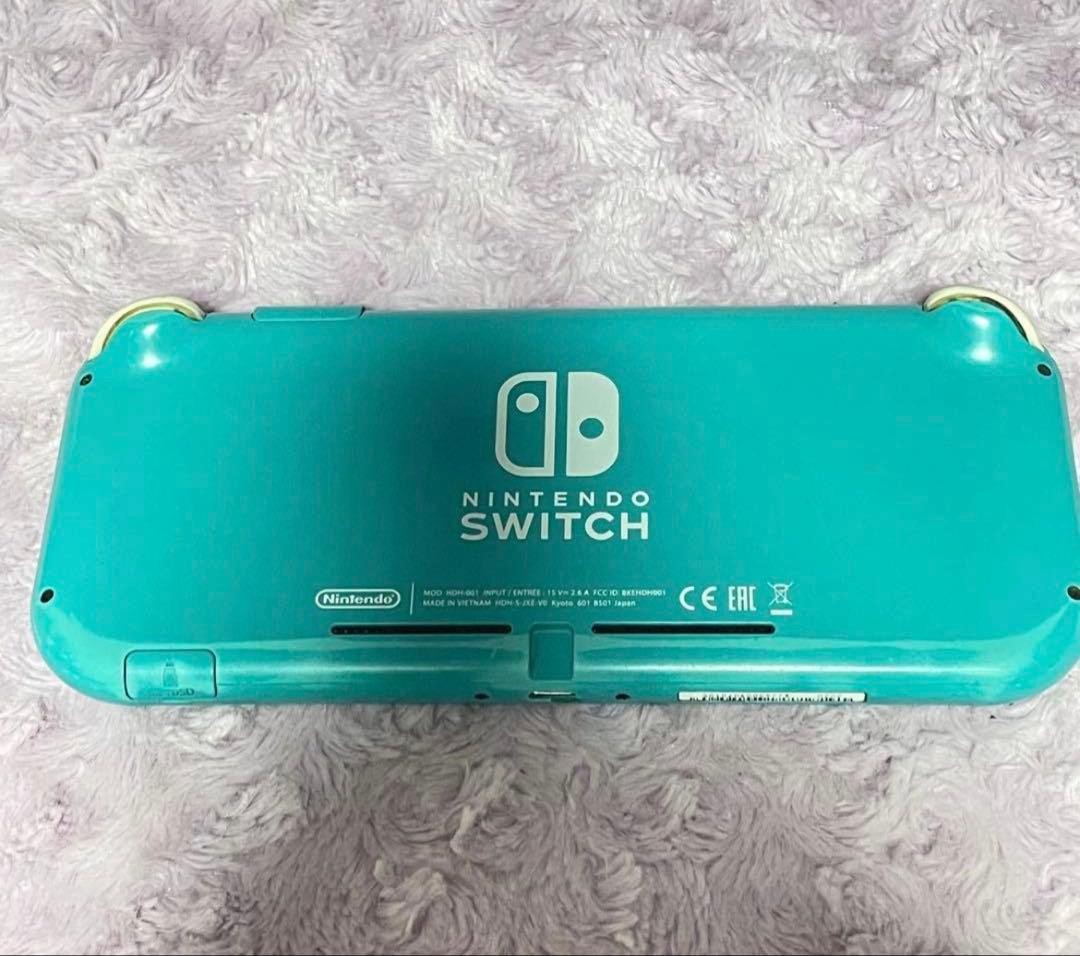 Switchライト　ジャンク