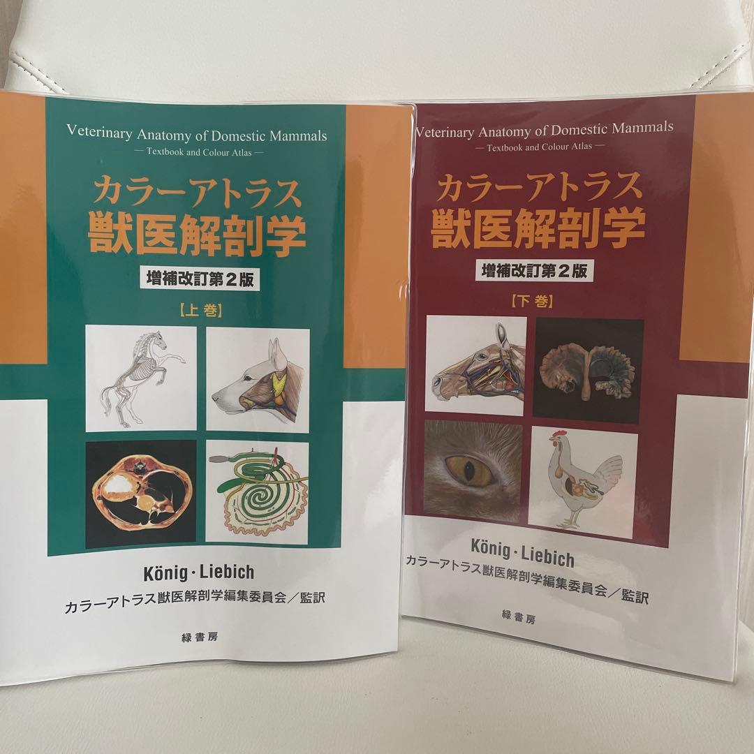 カラーアトラス獣医解剖学 上下巻