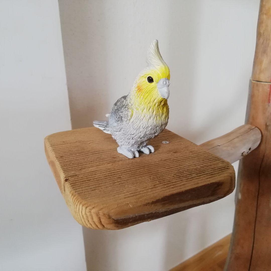 瑛 バードアスレチックジム大型 天然木 自然木 流木 止まり木 インコ