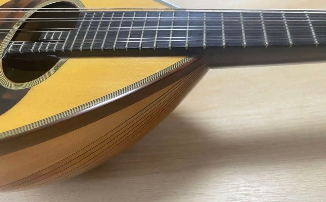 お値下げ中　カラーチェCalace マンドリン　クラシコBClassicoB