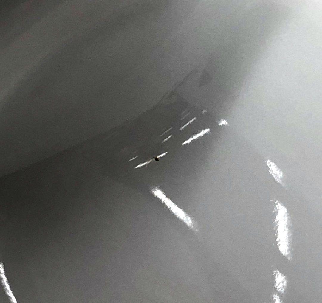 Taro Okamoto 岡本太郎ボトルTSUKUBA EXPO85