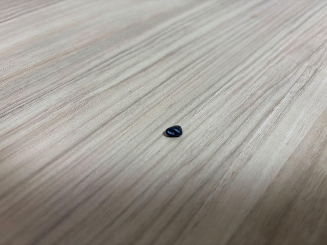 小学校一年生が拾った黒い小石