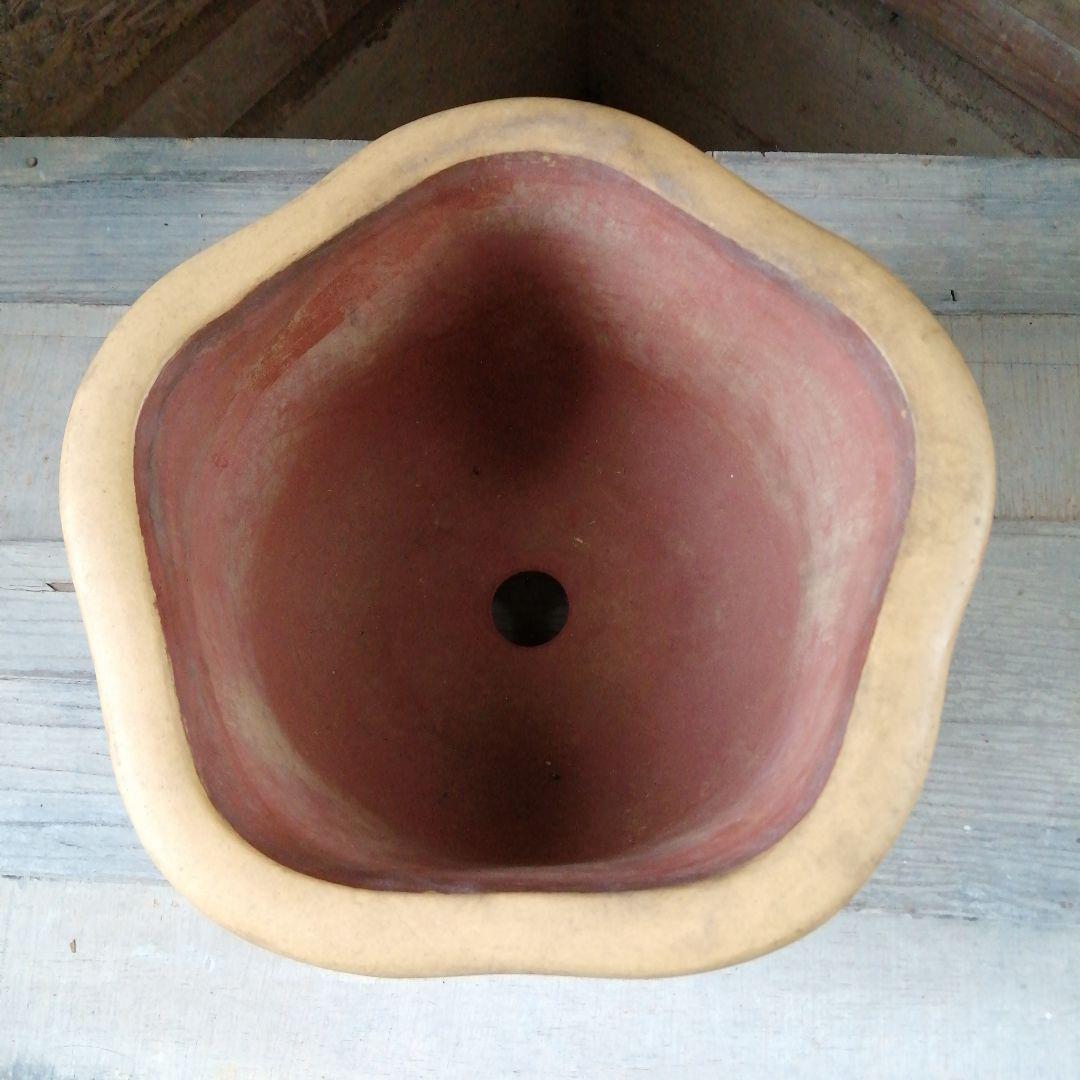 中国　花鳥漢詩彫盆栽鉢　 26cm