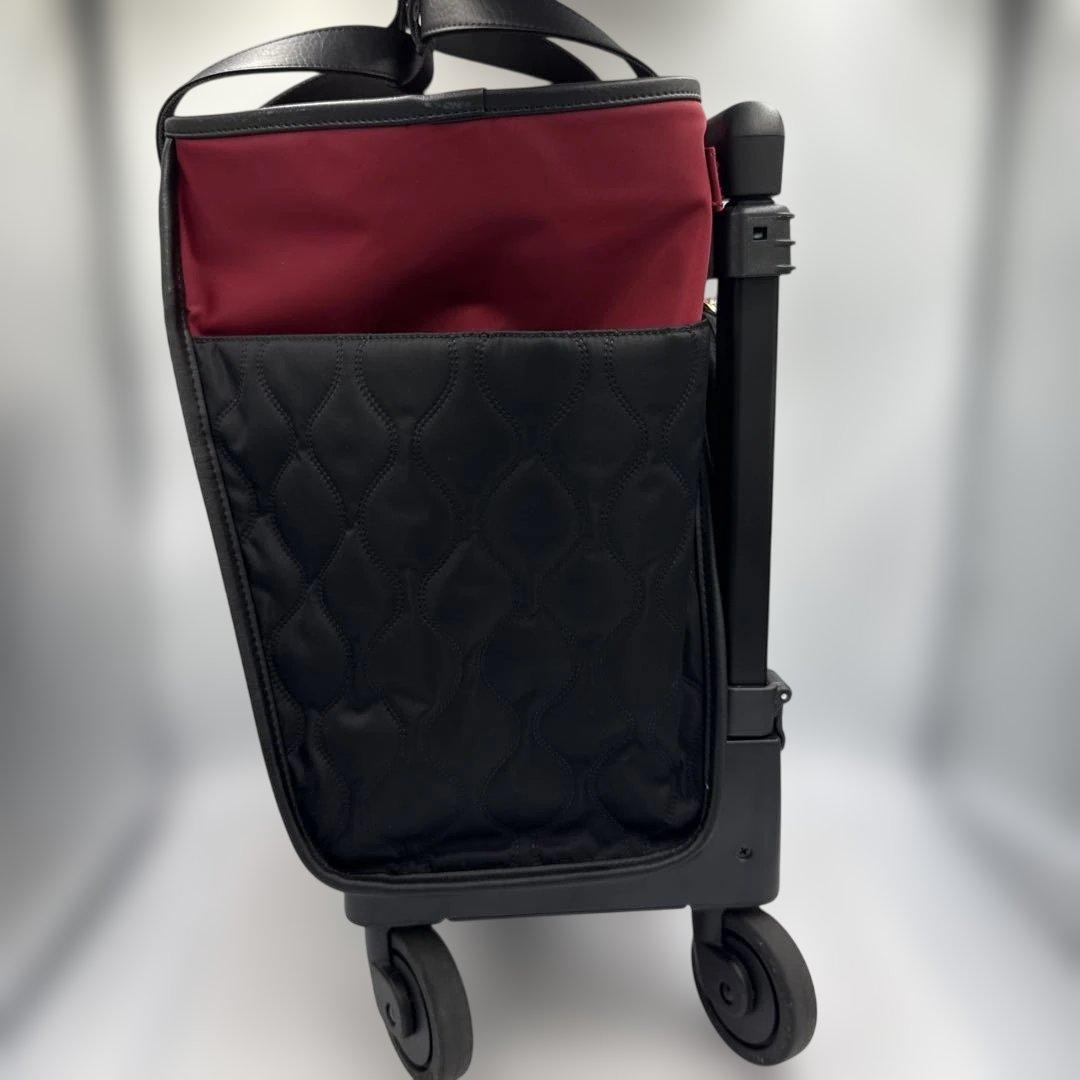 SWANY スワニー　キャリーバッグ D-589 プーフォ M21