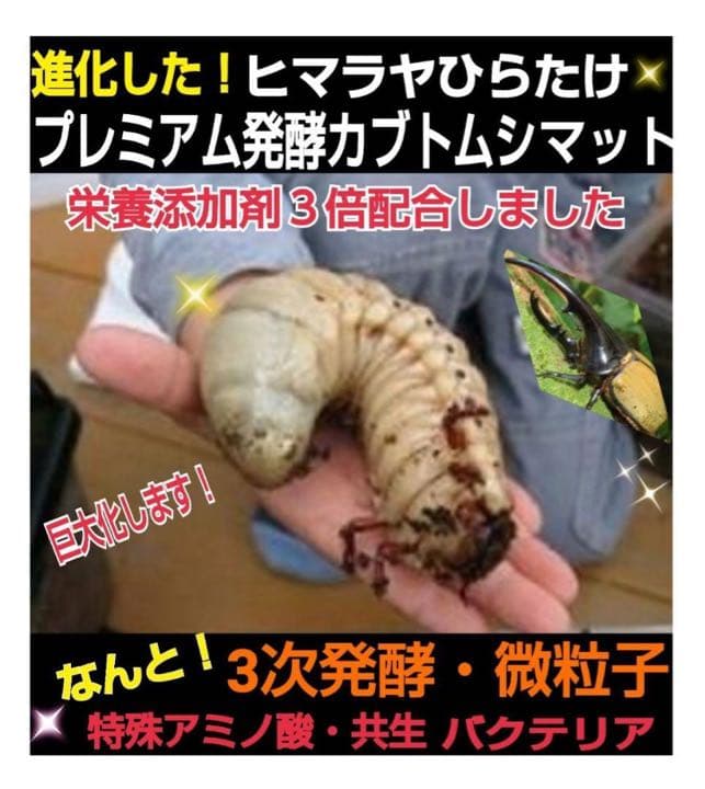 大人気！雑虫がわかない！完全室内製造！極上！プレミアム発酵カブトムシマット　5袋
