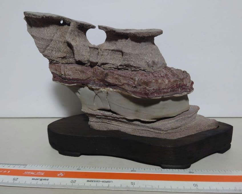 土佐鎧石　　水石 鑑賞石