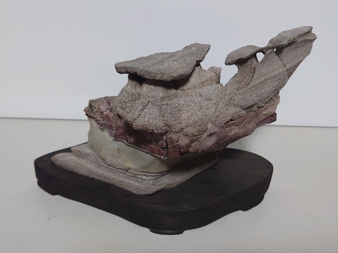 土佐鎧石　　水石 鑑賞石