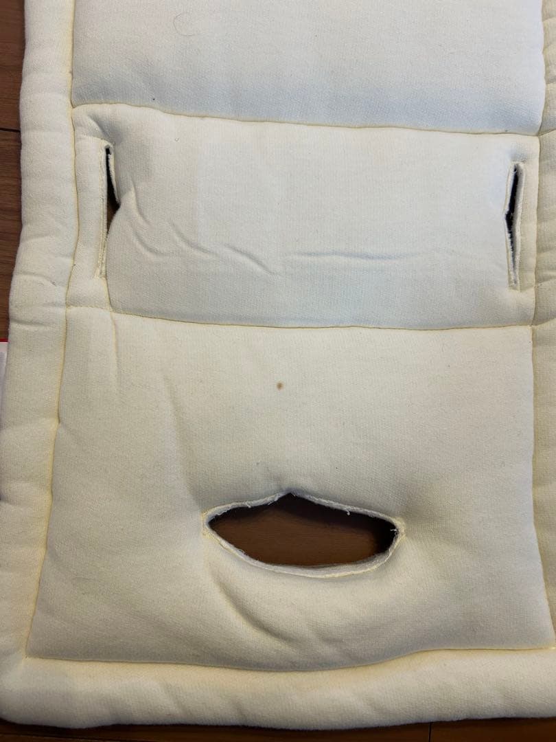 美品　エアバギー ココプレミア　フロムバース　アースブルー×サンド