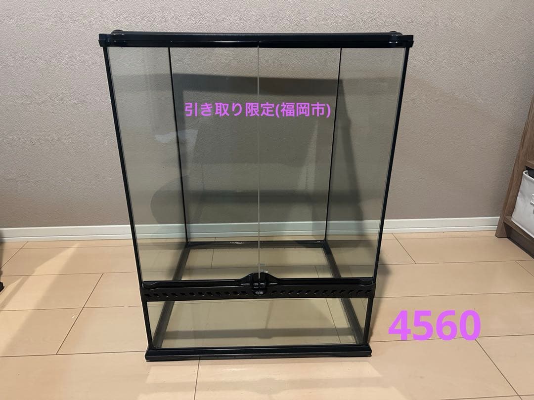 グラステラリウム　4560