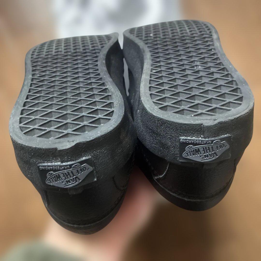 靴 vans skate loafer