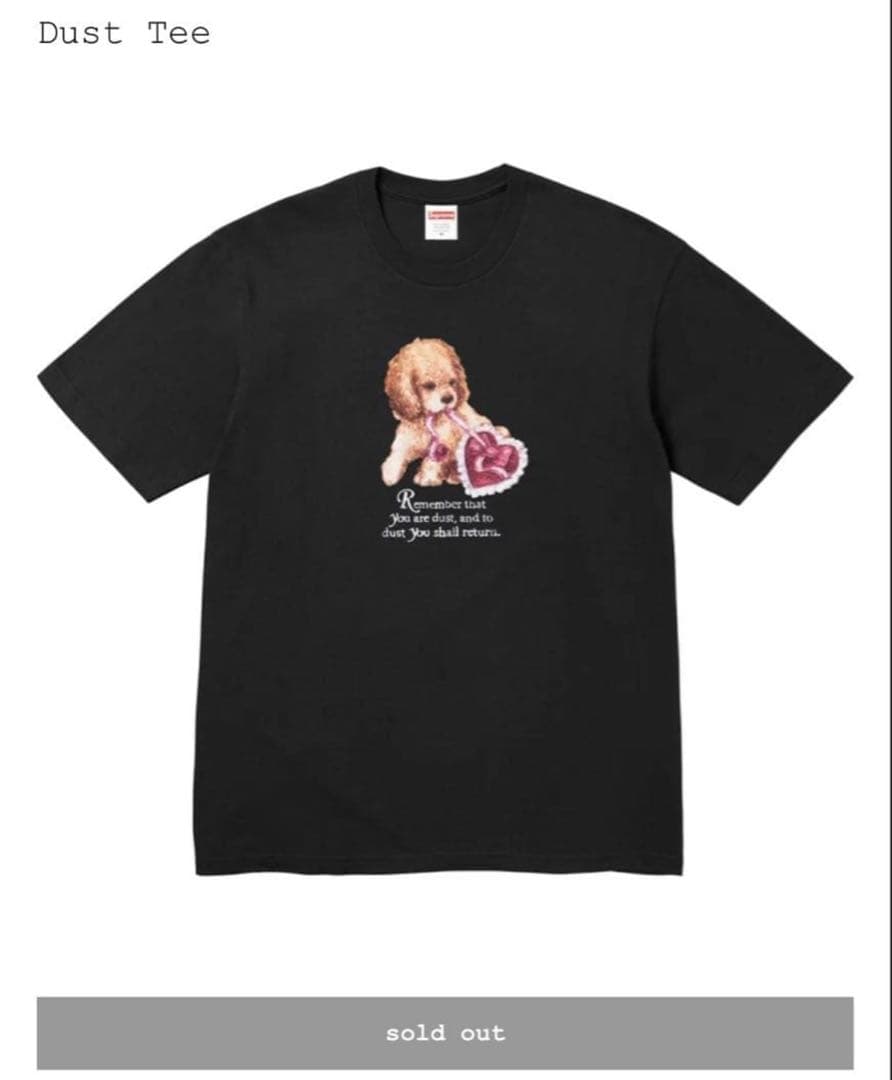 Supreme Dust Tee ブラック Tシャツ　L 新品