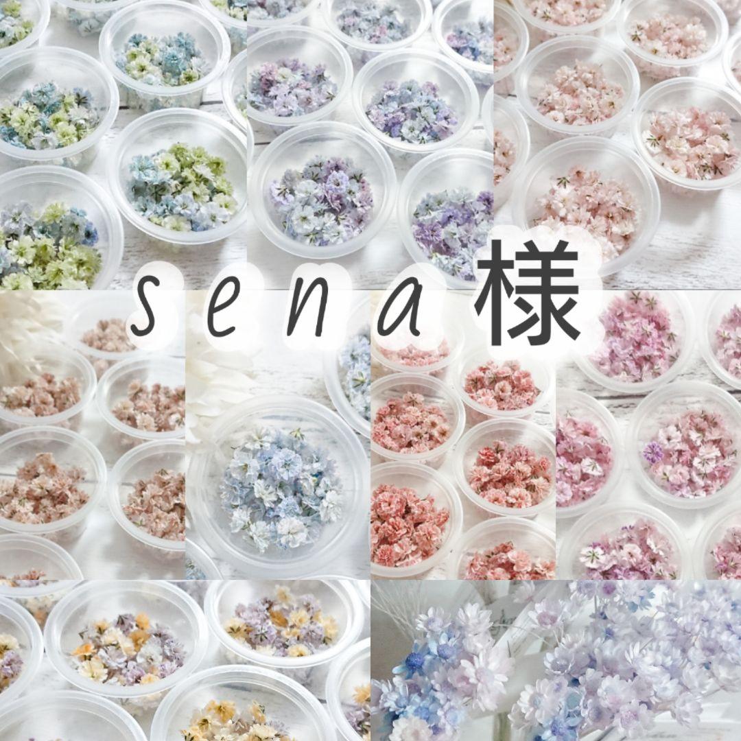 【sena様おまとめ】ドライフラワー
