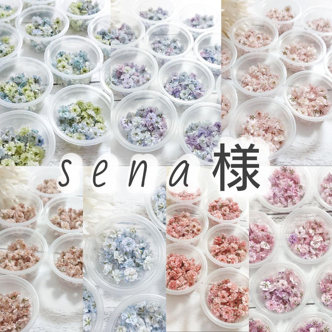 【sena様おまとめ】ドライフラワー