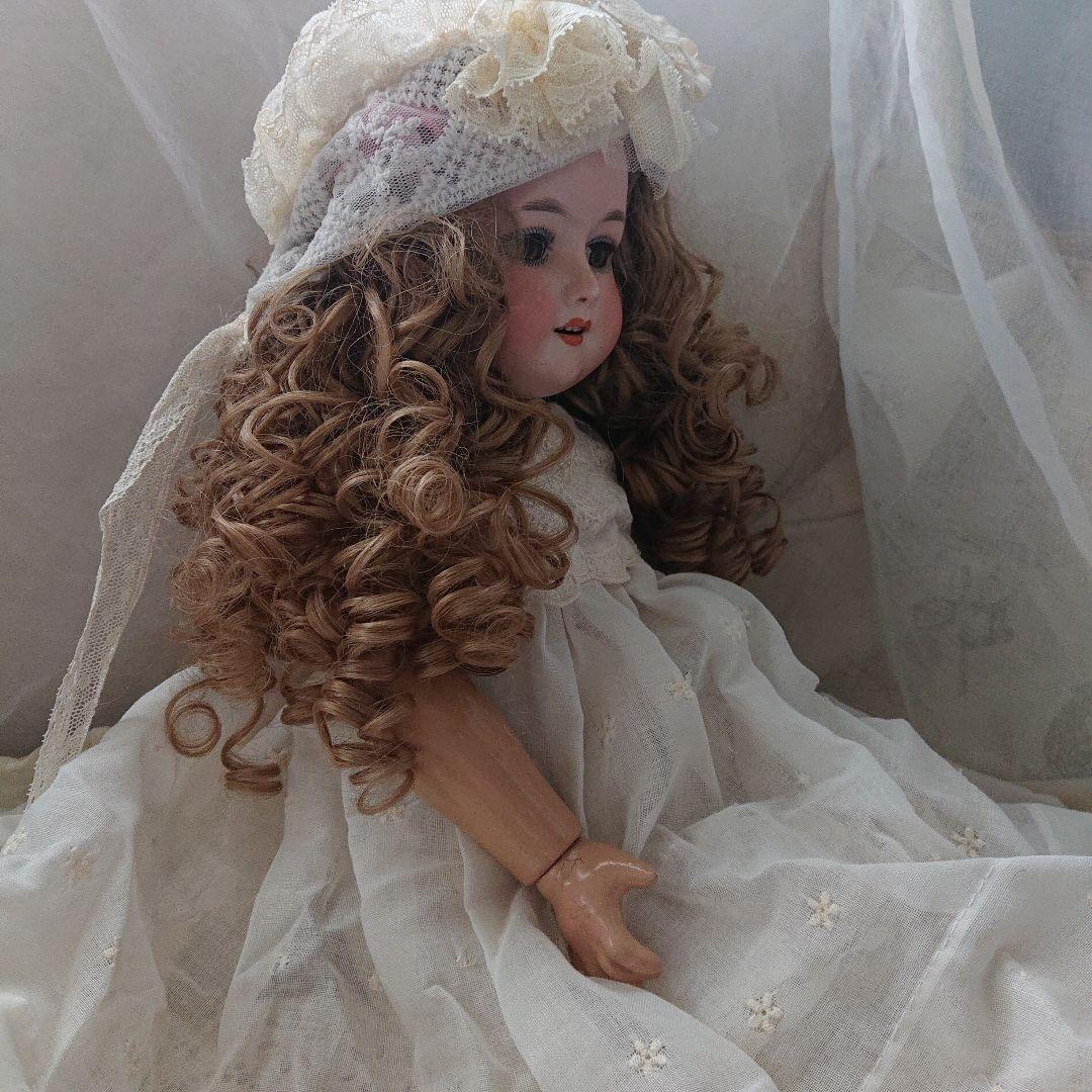 ルイス　アンバーグ　51㌢