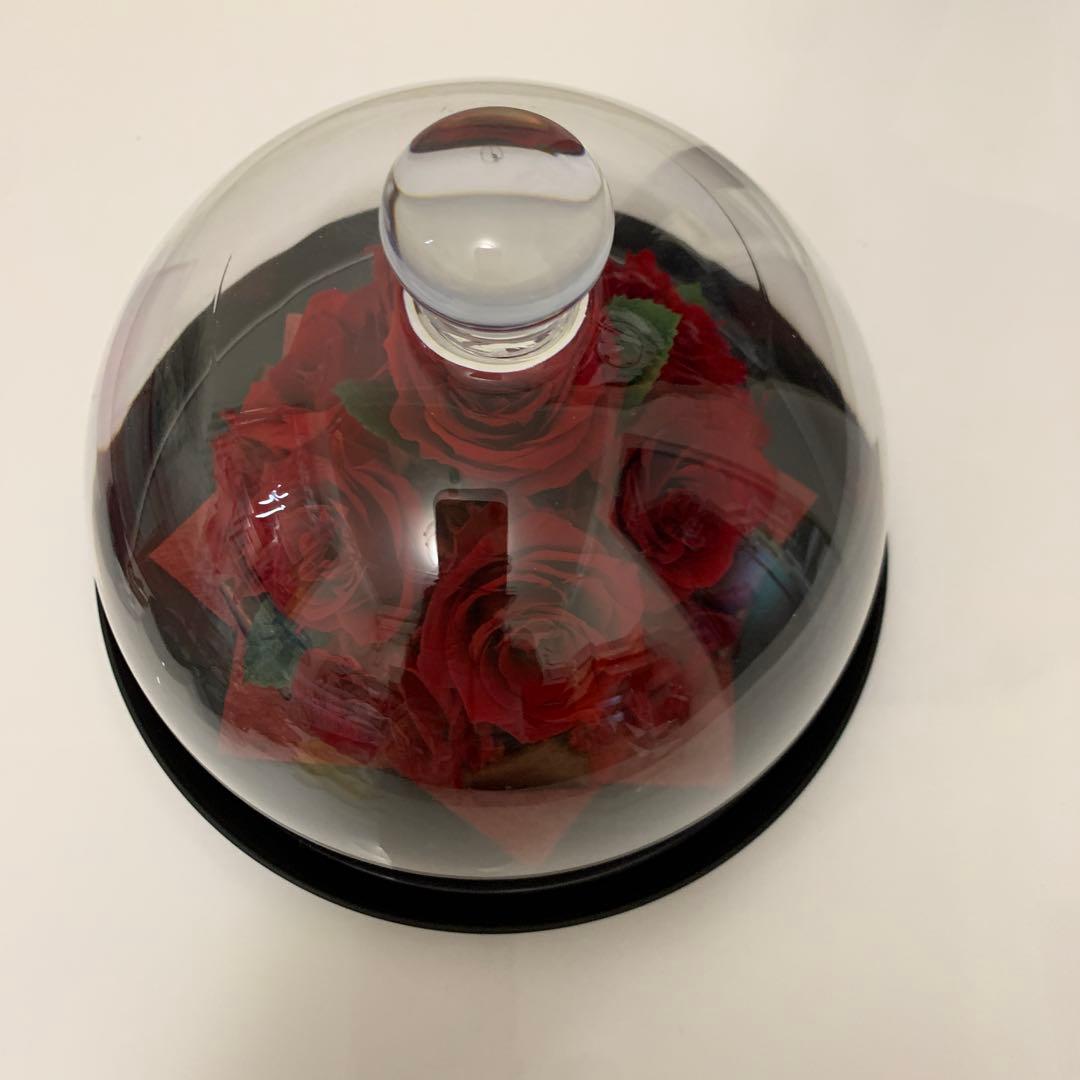 赤い薔薇、ブラザードフラワードー ム型24✖️20