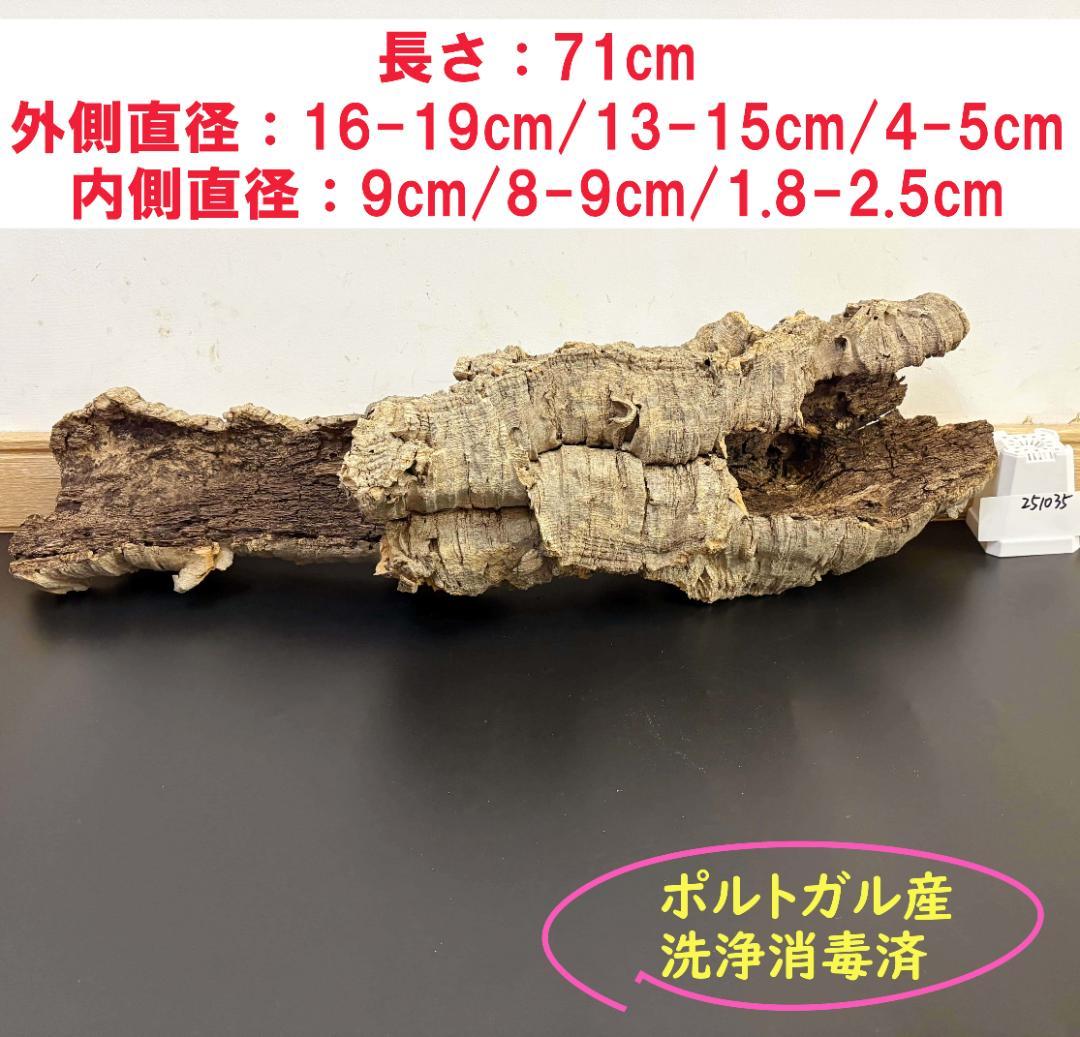 251035 ポルトガル産 キャノンコルク コルク樹皮 コルク板　バージンコルク