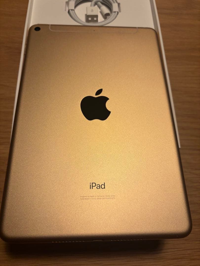 颯*様 iPad mini第5世代 64GB Wi-Fi+Cellular