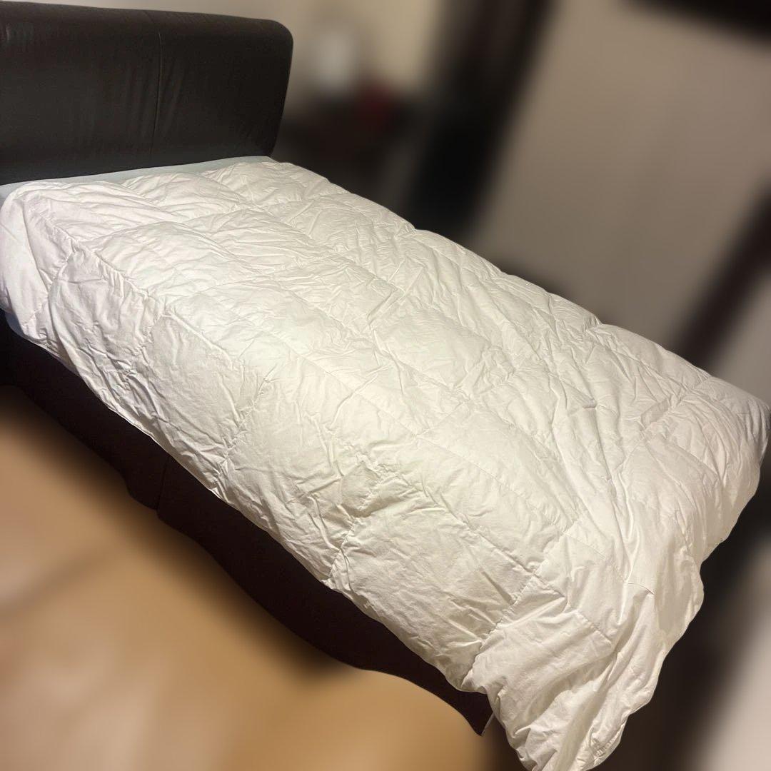 IDC大塚家具　肌掛け布団　ホーリー　ダブルサイズ（190×210）