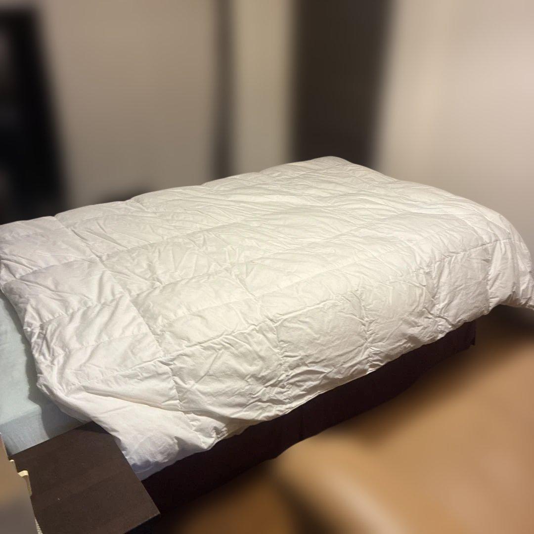 IDC大塚家具　肌掛け布団　ホーリー　ダブルサイズ（190×210）