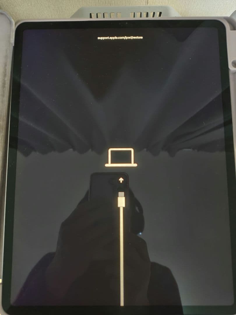 iPad Pro12.9 512GB本体ジャンク品