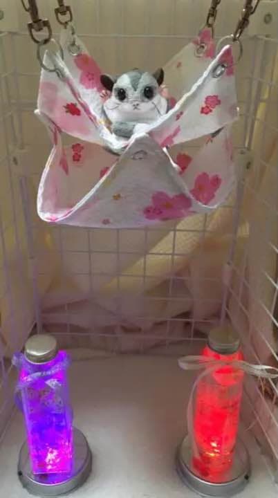 モモンガハウス(うさぎ・ハート・桜柄)夏仕様  涼しい夏生地を使用❗️ 1650円