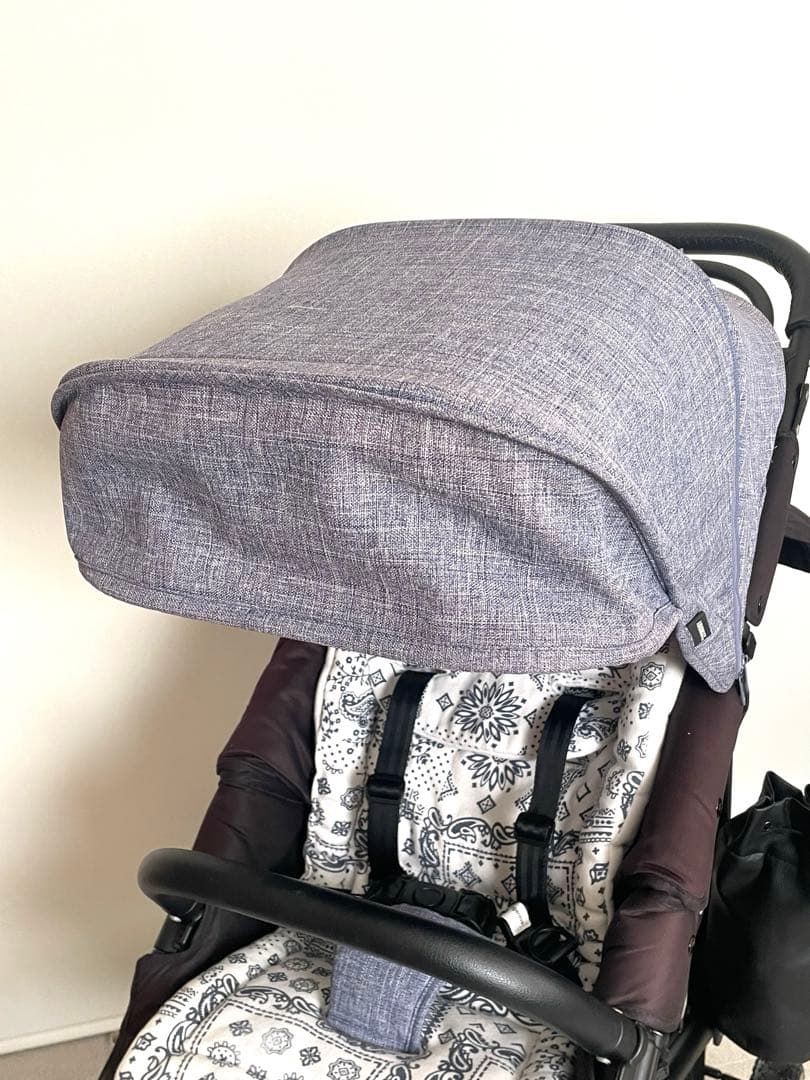 早い者勝ち★エアバギーココプレミア★付属品多数