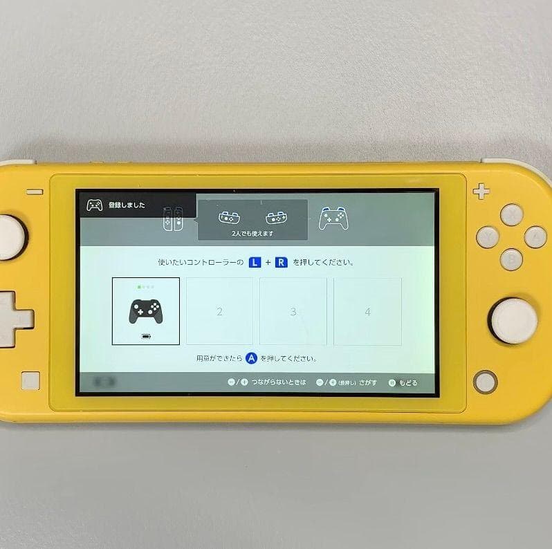 Nintendo Switch Lite 本体 動作品