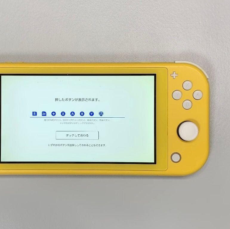 Nintendo Switch Lite 本体 動作品
