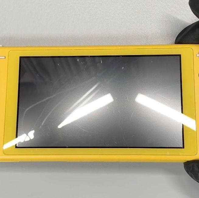 Nintendo Switch Lite 本体 動作品