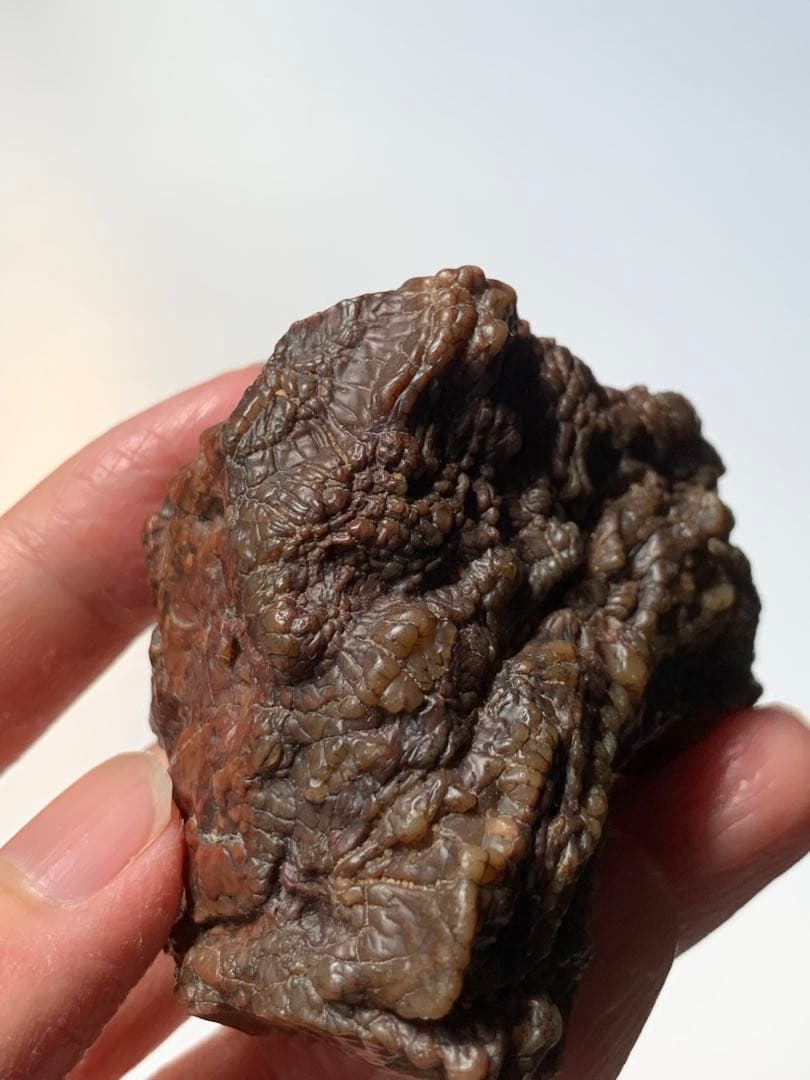 アラシャンゴビアゲート　蒙古瑪瑙　水石　翡翠　オパール　根付　天珠　化石　隕石