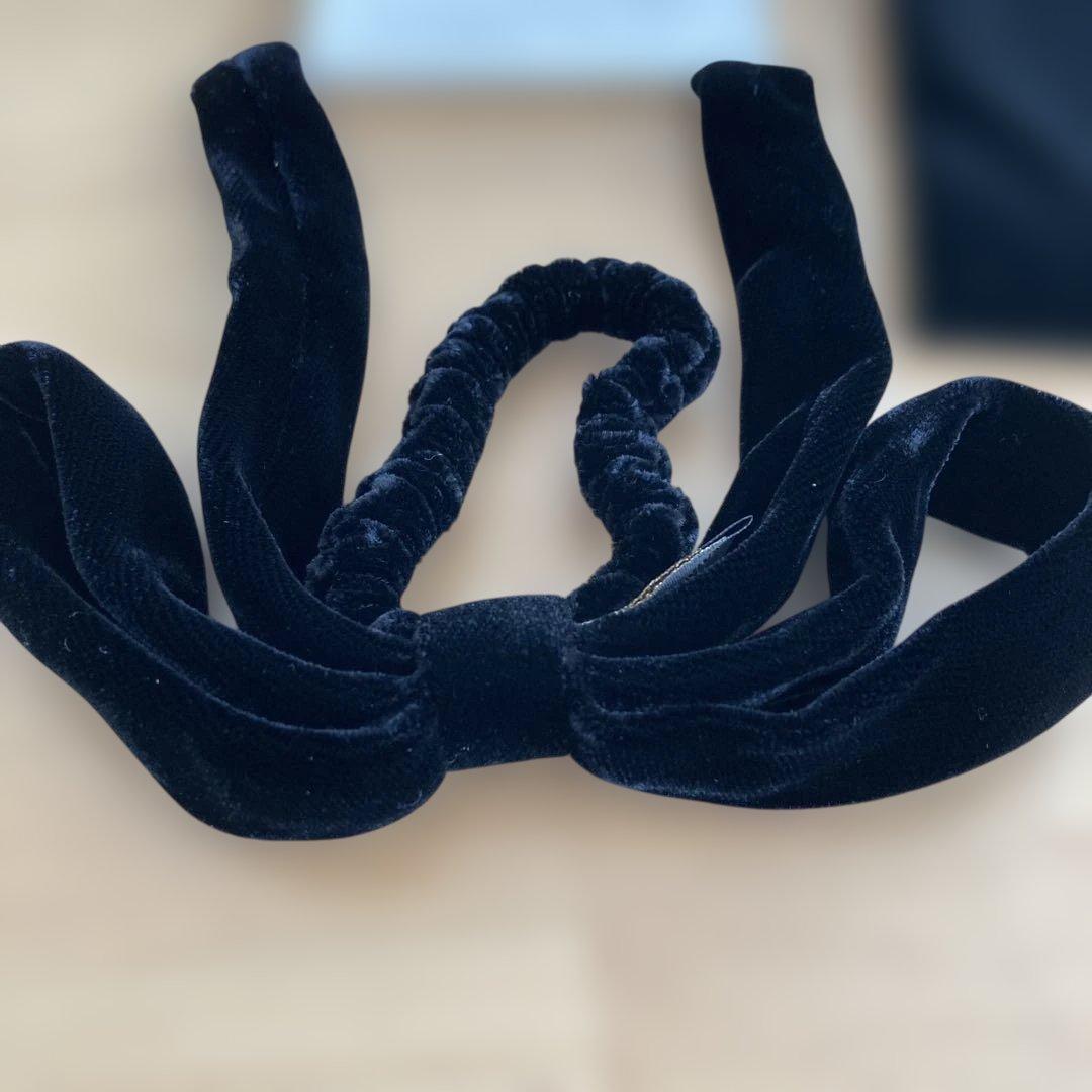 【ほぼ未使用】アレクサンドルドゥパリ　ベロアリボンポニー　ブラック