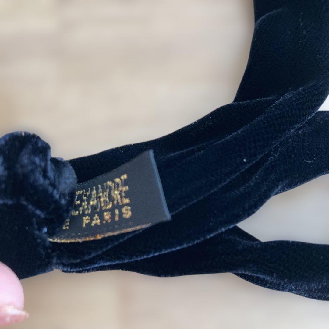 【ほぼ未使用】アレクサンドルドゥパリ　ベロアリボンポニー　ブラック