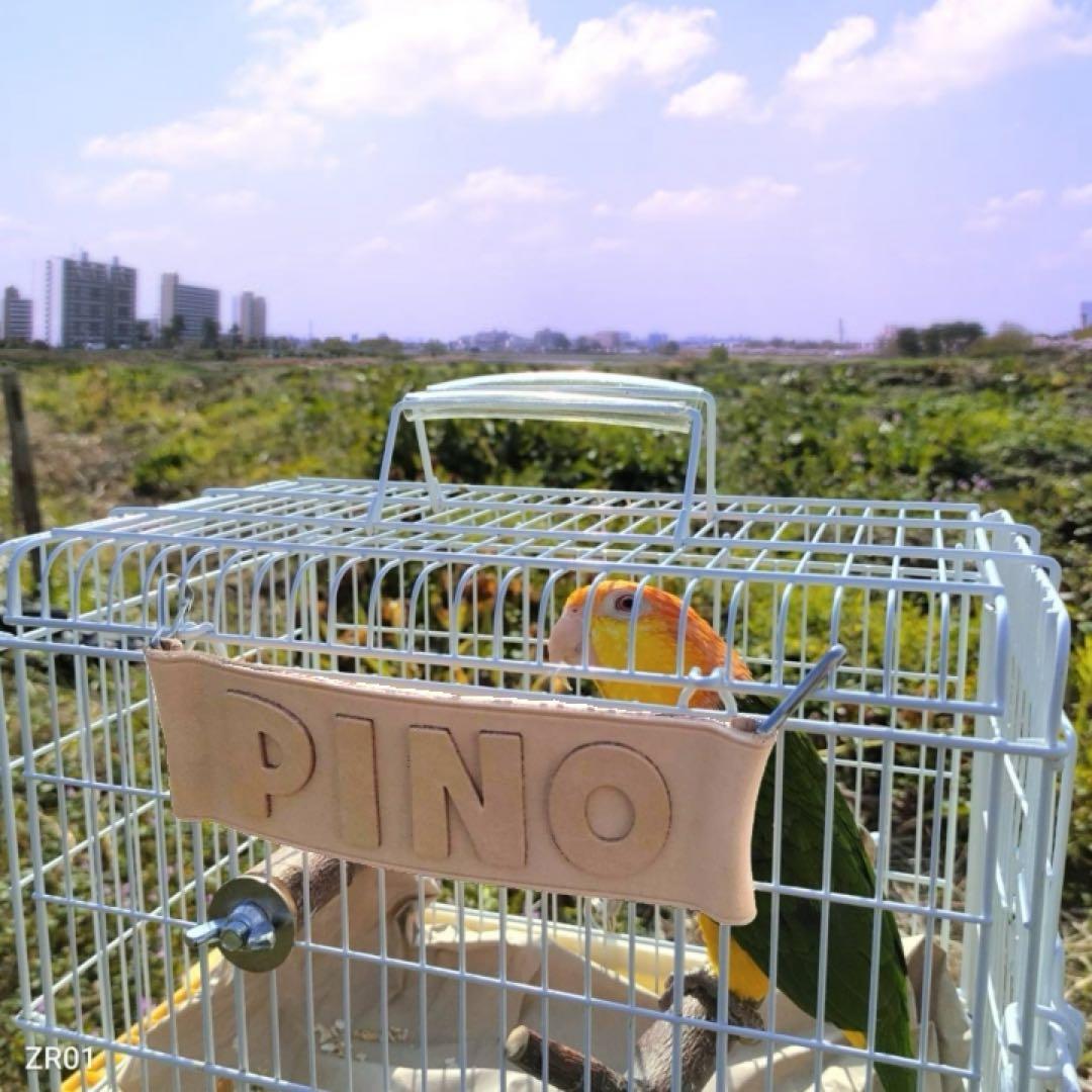 牛本革レザー【大きいネームプレート】オーダー受付ページ♡ネームタグ♡ペット鳥犬猫