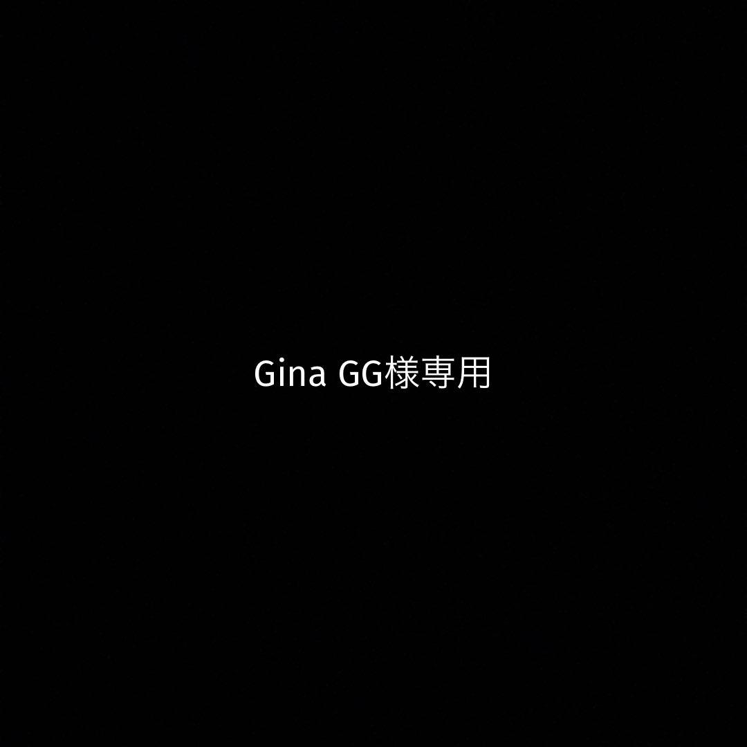 語学・辞書・学習参考書 Gina GG