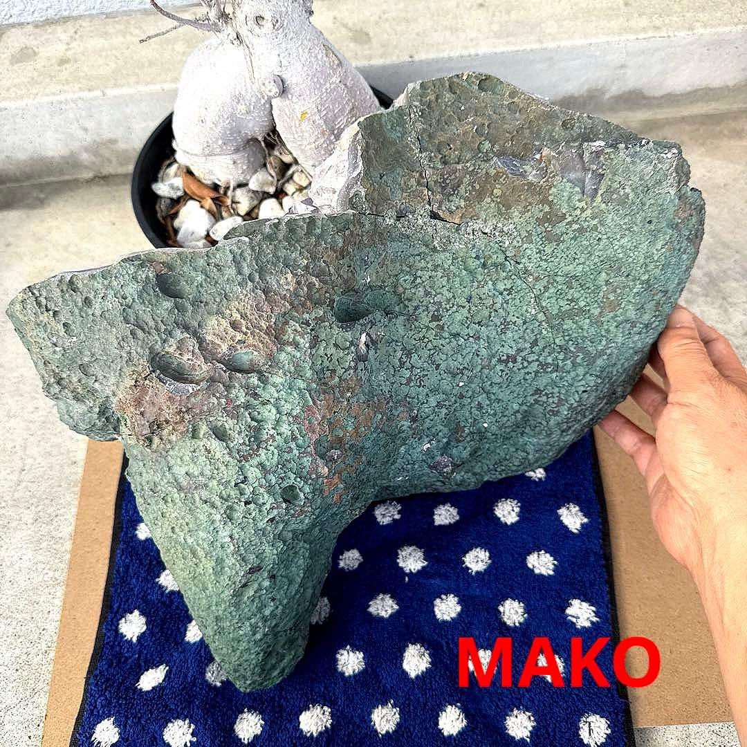 M1669☆アメジストドーム11.6Kg☆天然石　原石☆N50201