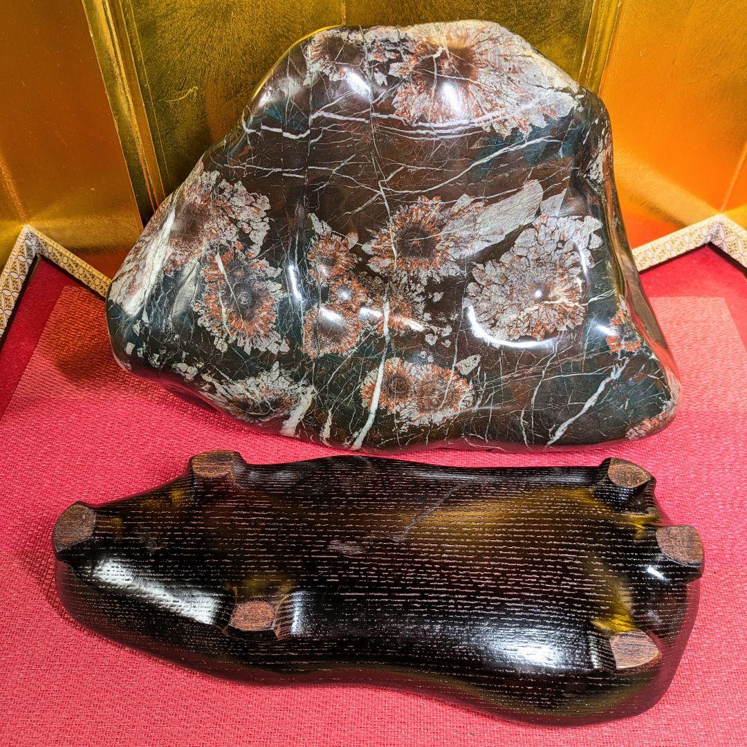 菊花石 岐阜県根尾谷産9.8㌔ 鑑賞石 観賞石 水石 盆石 天然石 置物