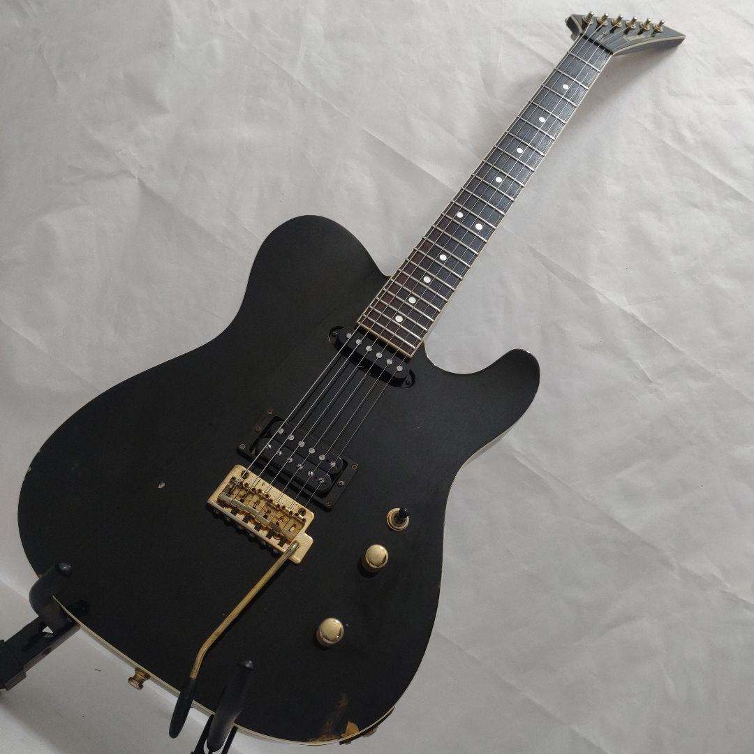 FERNANDES TEJ Limited Edition TEJ-55G 布袋