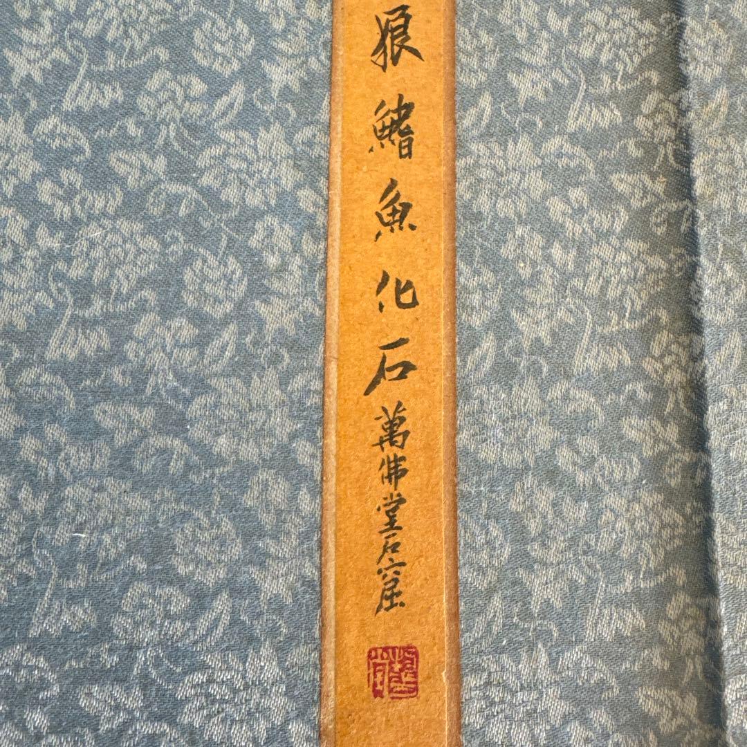 額装　魚の化石（Lophocephalus）約4千万年前 中国産