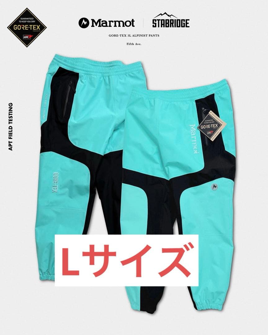 GORE-TEX 3L ALPINIST PANTS サイズL