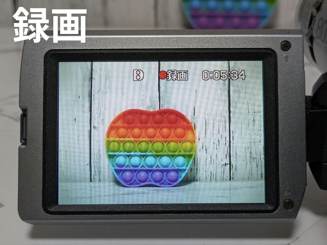 【豪華セット】SONY　DCR-TRV310　Digital8　8mm対応