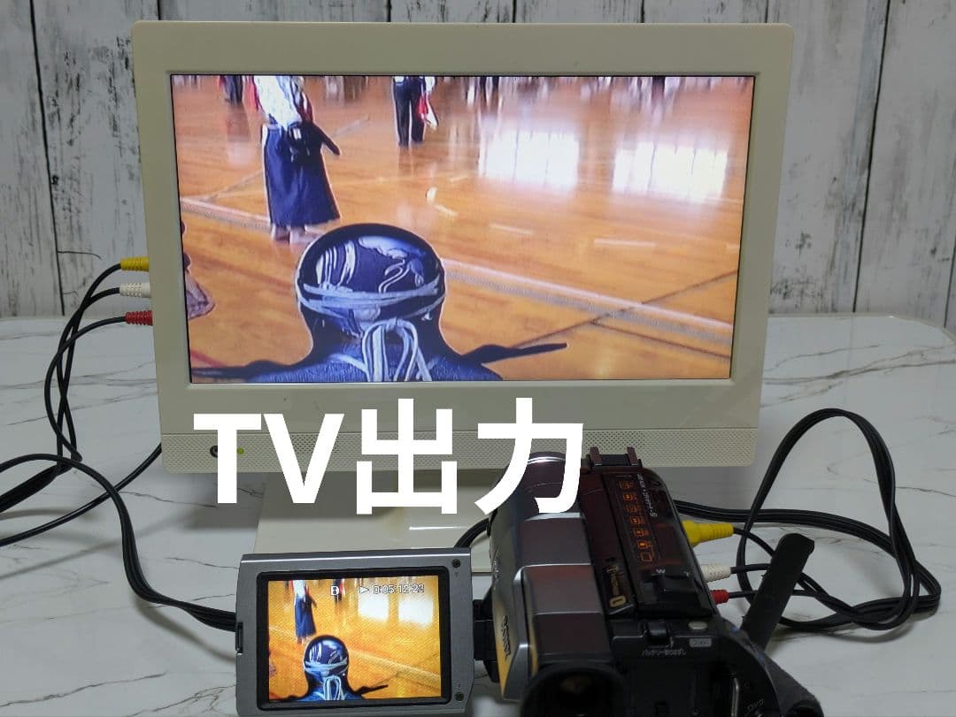 【豪華セット】SONY　DCR-TRV310　Digital8　8mm対応