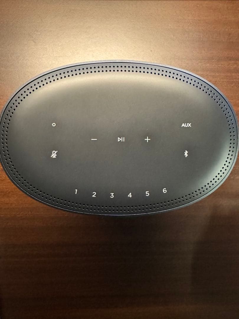 Bose  SPEAKER 500 本体