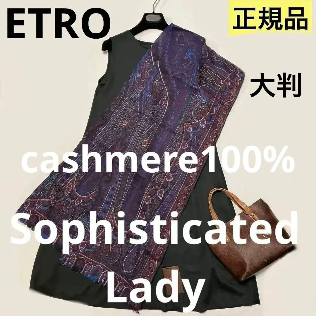 洗練されたデザイン　ETRO 正規品　大判ショール　 カシミヤ100％ 11
