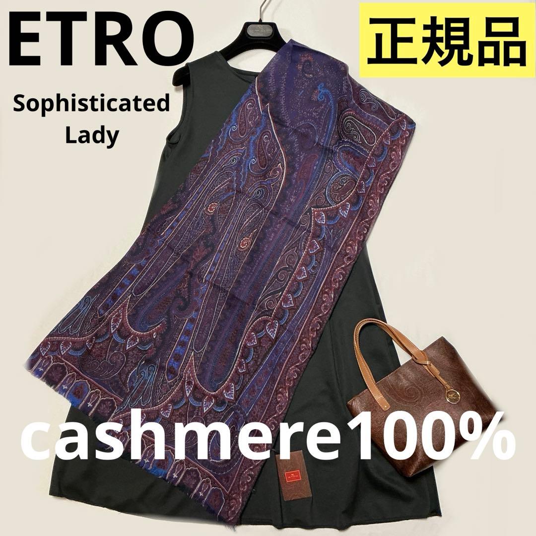 洗練されたデザイン　ETRO 正規品　大判ショール　 カシミヤ100％ 11
