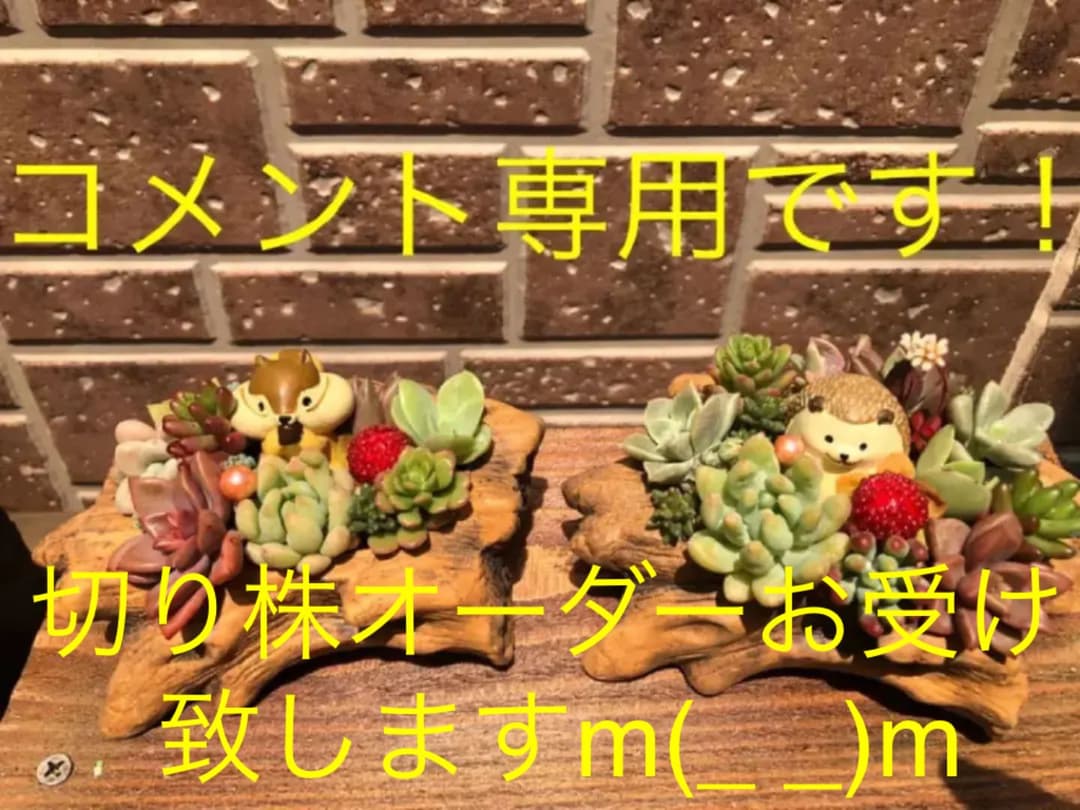 コメント専用です！オーダーお受けしますm(_ _)m