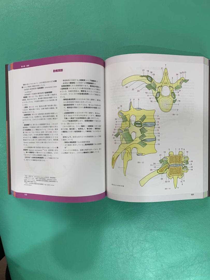 【美品】カパンジー機能解剖学(全3巻)